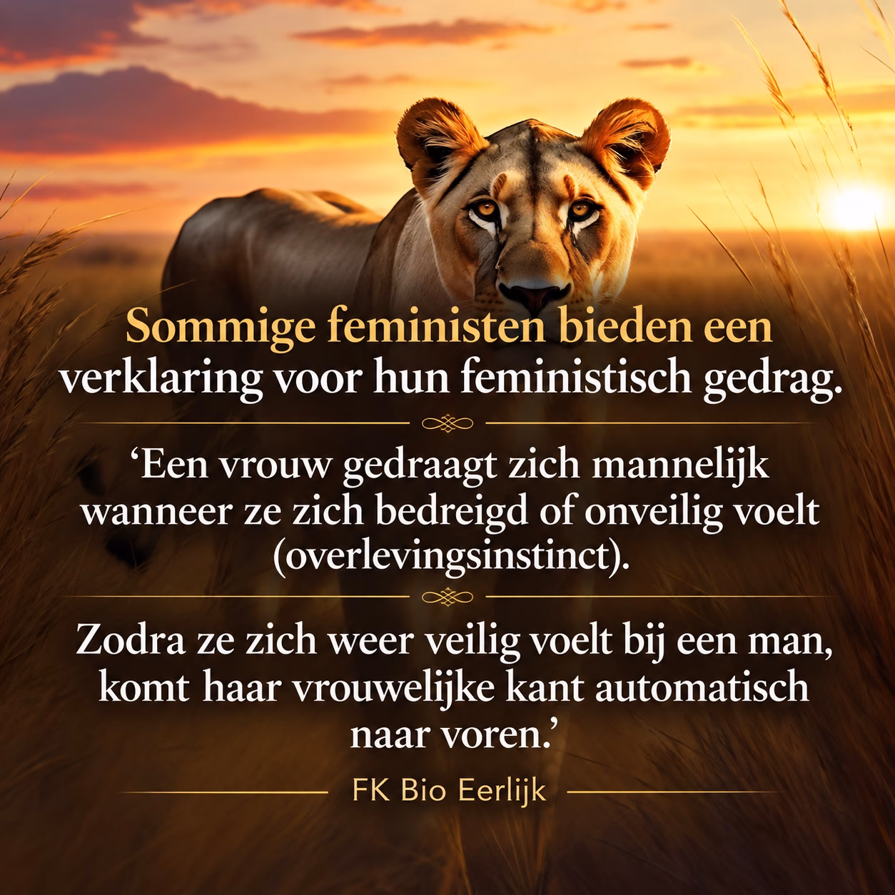Wanneer een man zijn rol verlaat en haar vervolgens “feministisch” noemt